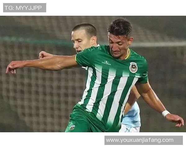 哈德斯与雷丁对决前瞻分析及比赛结果预测详解